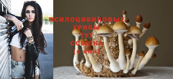 ГАЛЛЮЦИНОГЕННЫЕ ГРИБЫ Арсеньев