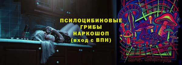 ГАЛЛЮЦИНОГЕННЫЕ ГРИБЫ Арсеньев