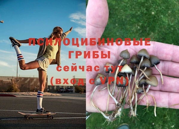 прущий лед Армянск