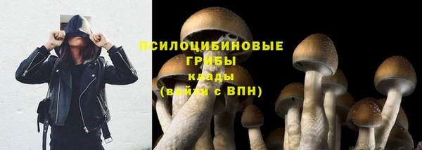 ГАЛЛЮЦИНОГЕННЫЕ ГРИБЫ Арсеньев