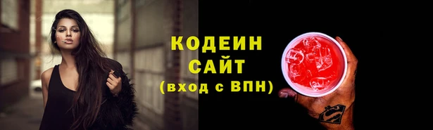 ГАЛЛЮЦИНОГЕННЫЕ ГРИБЫ Арсеньев