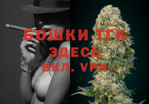 твердый Аркадак