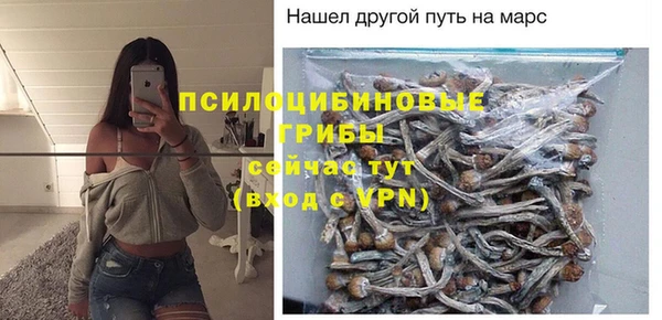 СК Алексин