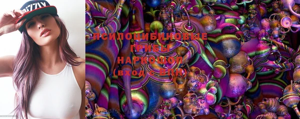 твердый Аркадак