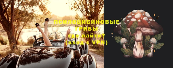 твердый Аркадак