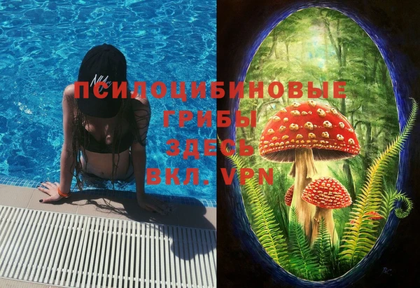 твердый Аркадак