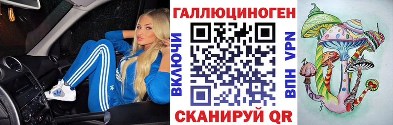 kraken зеркало  Чайковский  Псилоцибиновые грибы Cubensis 